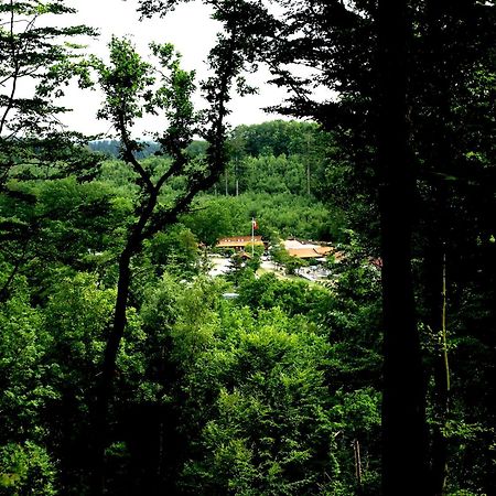 Randboldal Camping & Cabins 외부 사진