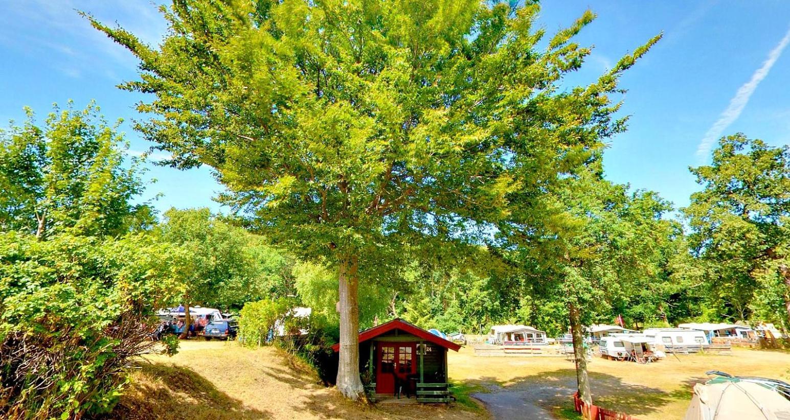Randboldal Camping & Cabins 외부 사진