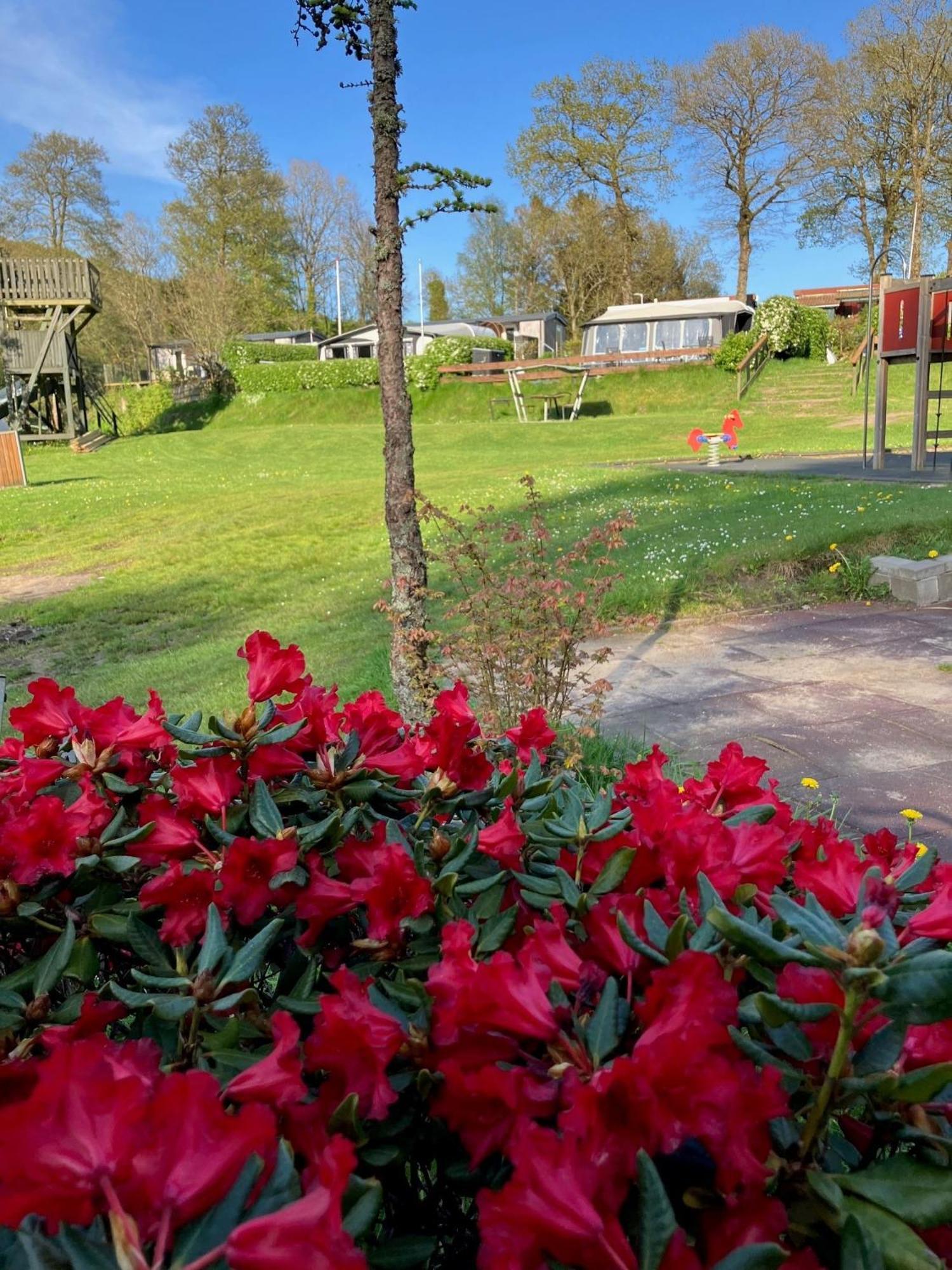 Randboldal Camping & Cabins 외부 사진