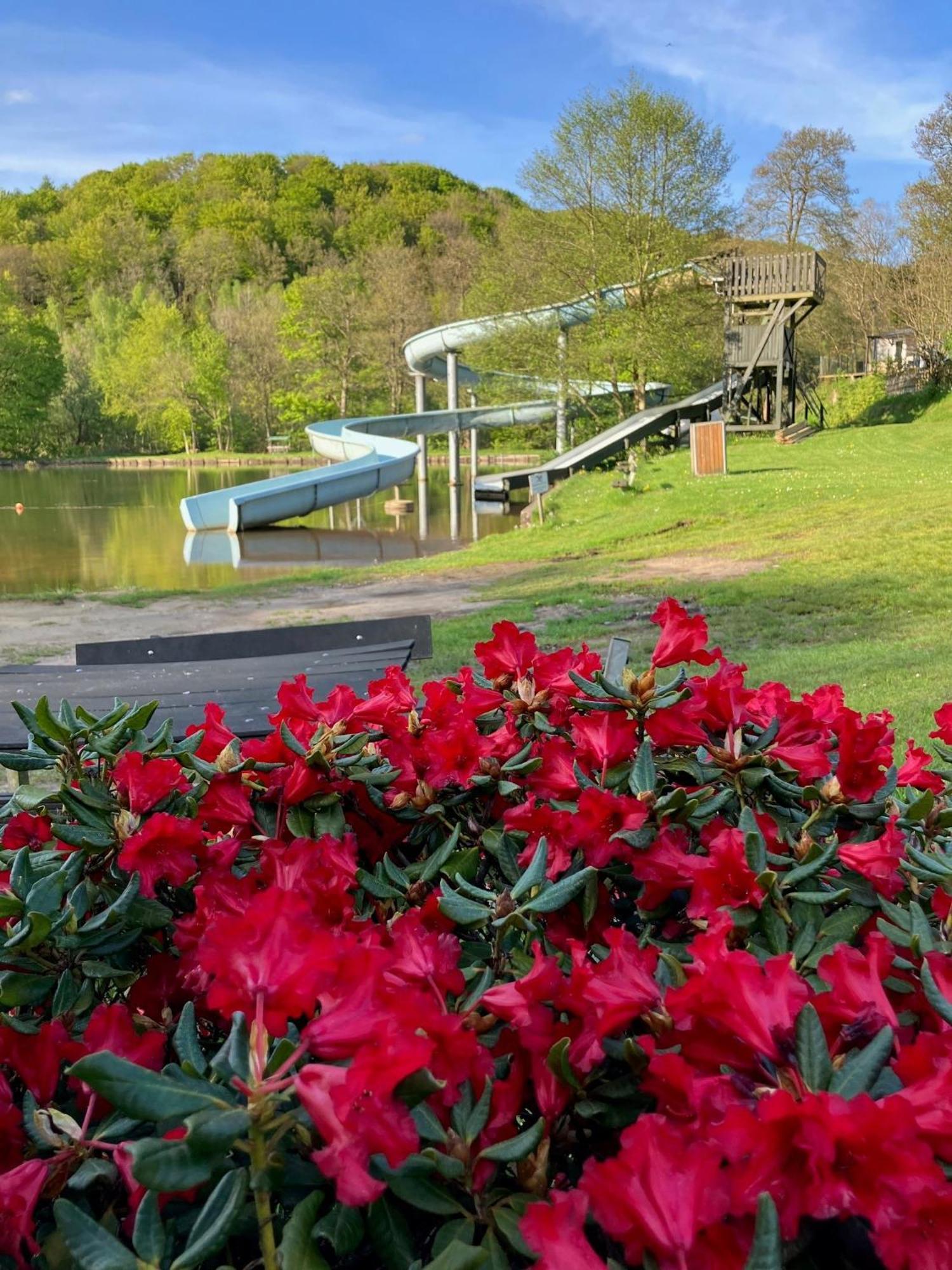 Randboldal Camping & Cabins 외부 사진